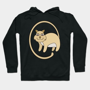 Ringtail Cat Hoodie